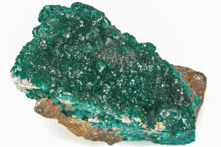 Gemmy Dioptase Crystals on Dolomite - N'tola Mine, Congo #209684